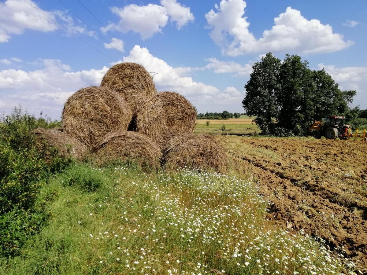Hotel Rural Lajafriz Fornillos de Aliste Zewnętrze zdjęcie